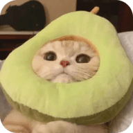 WWW,dd11dd·COM网站APPAPP应用